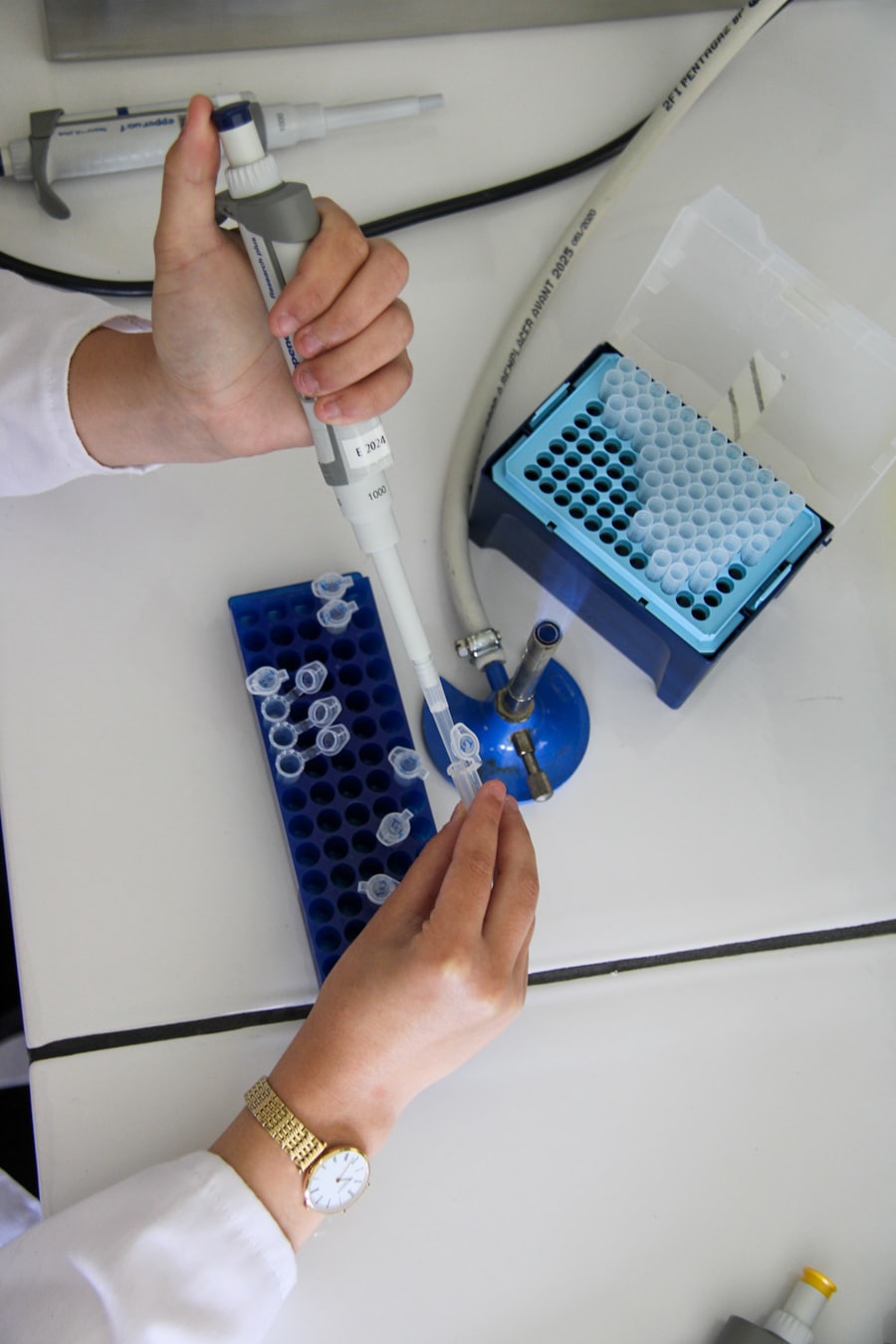 Researcher pipetting samples in a laboratory